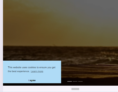 Screenshot of cookies